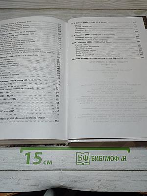 Литература. 11 класс. Часть 1