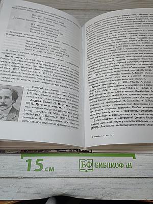 Литература. 11 класс. Часть 1