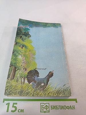 Птичьи разговоры: рассказы и сказки