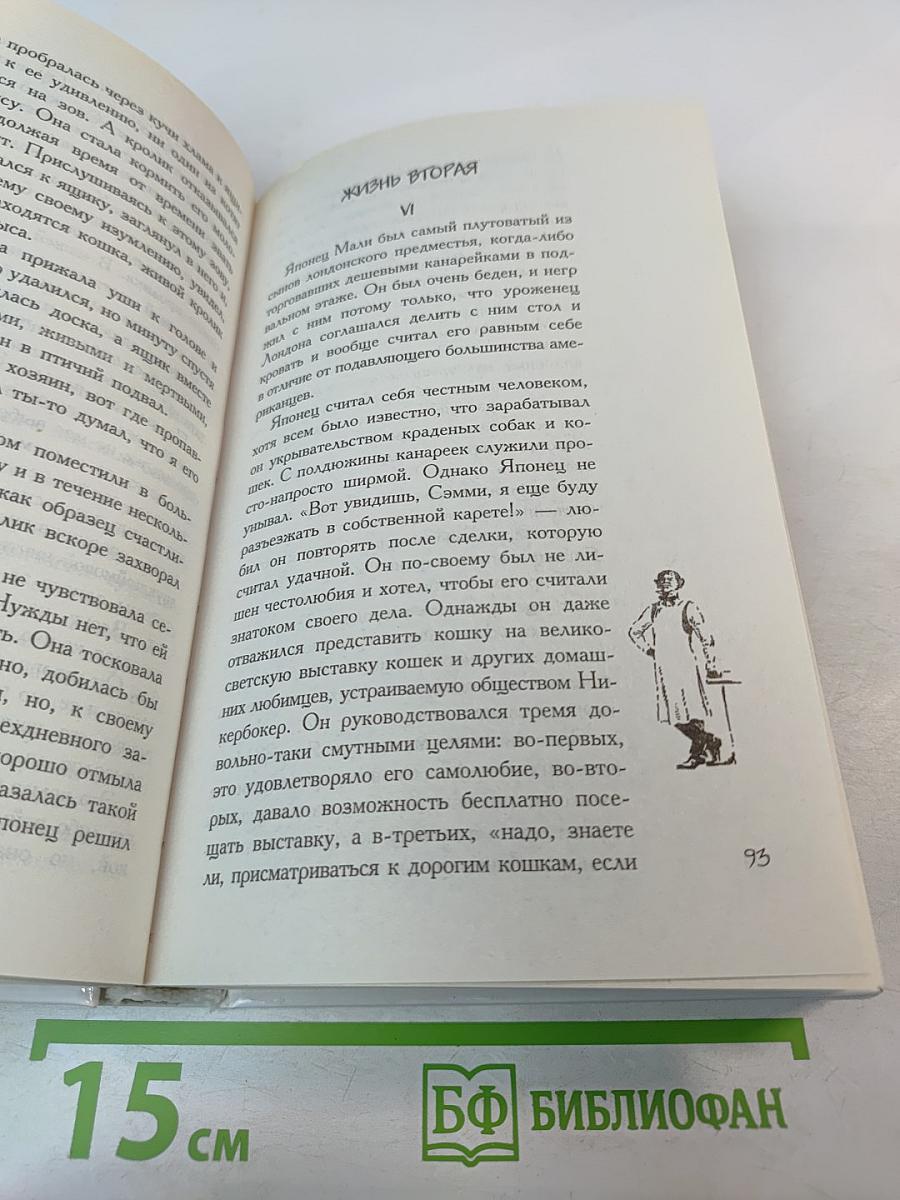 Медвежонок Джонни