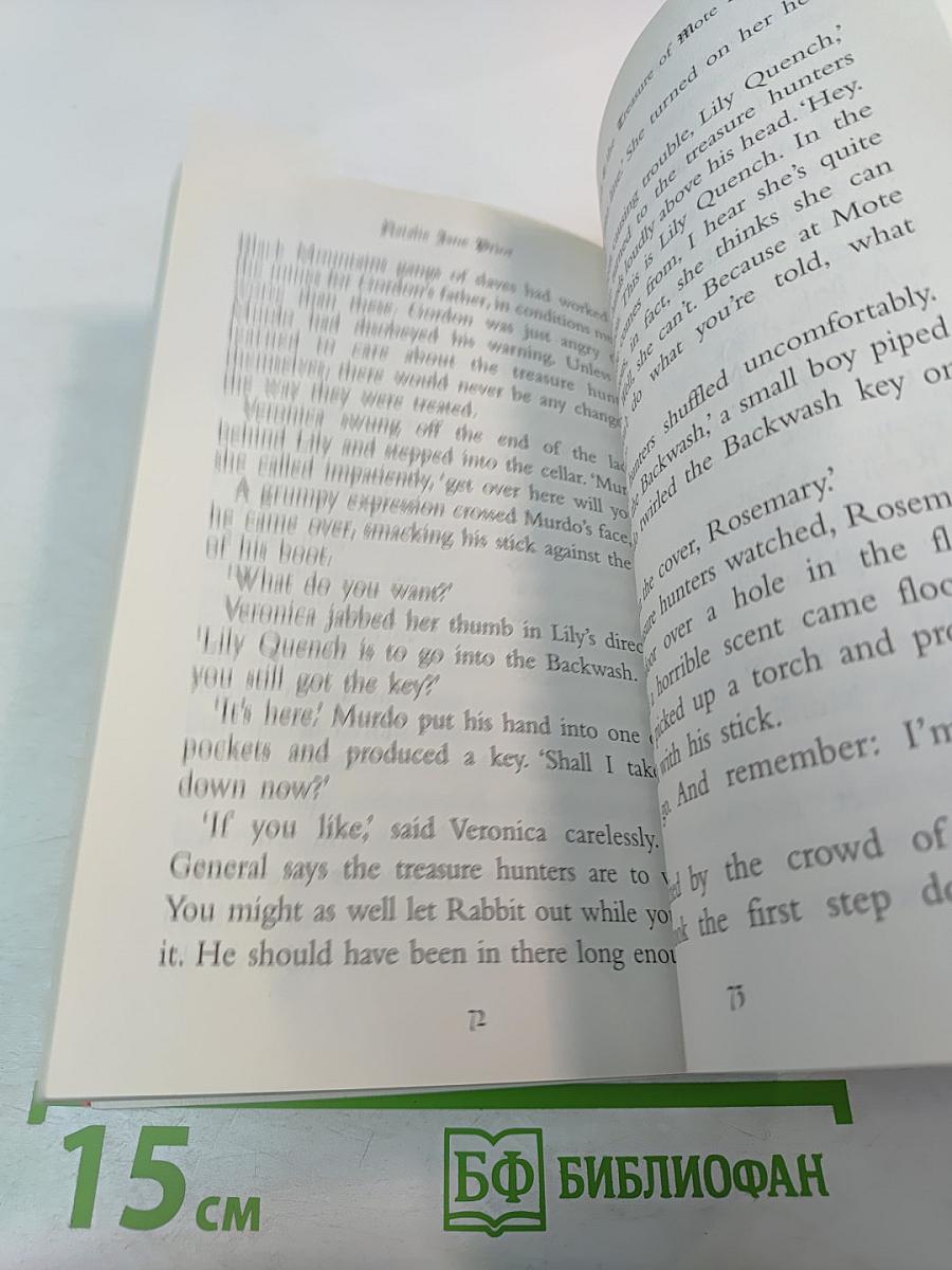 Lily Quench & the Treasure of Mote Ely