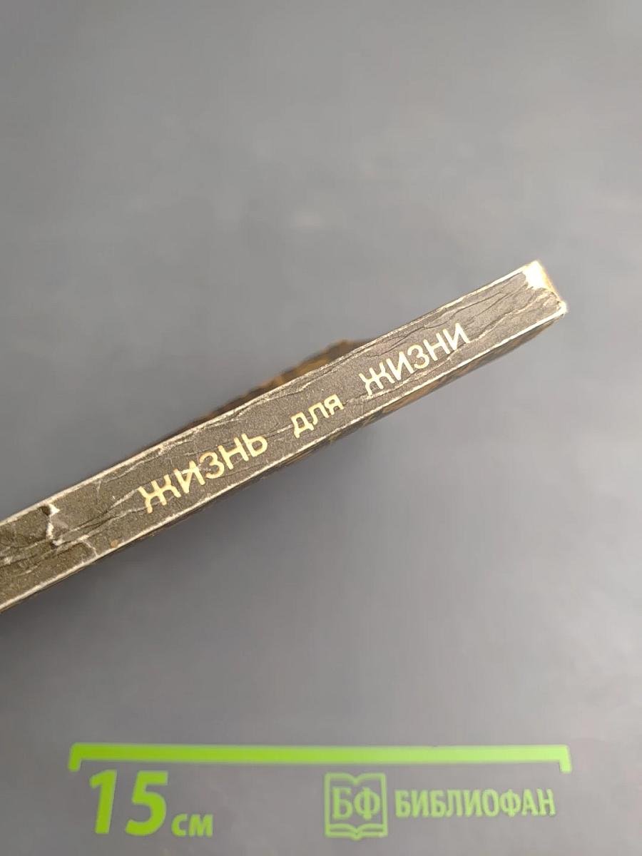 Жизнь для жизни. Хроника нескольких лет Федора Михайловича Достоевского