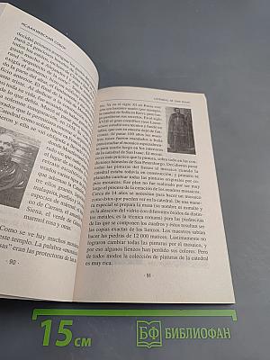¡Bienvenidos a San Petersburgo! Добро пожаловать в Санкт-Петербург! Учебное пособие для начинающих гидов на испанском языке