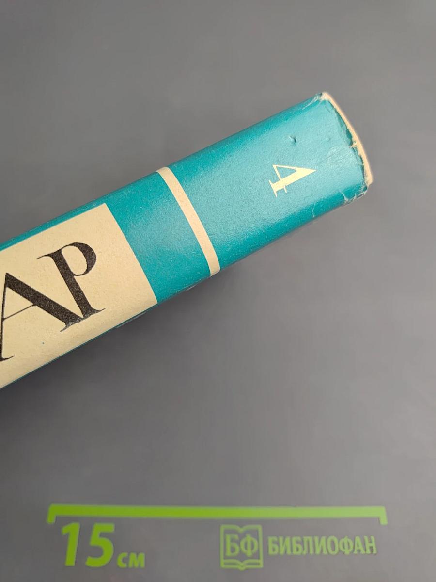 Чистое Сердце. Флибустьеры