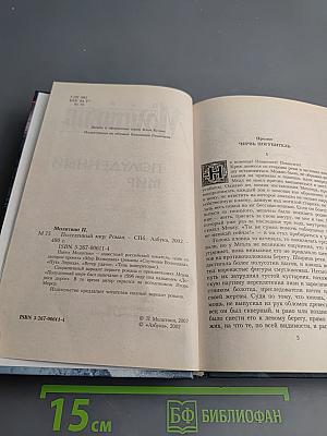 Полуденный мир