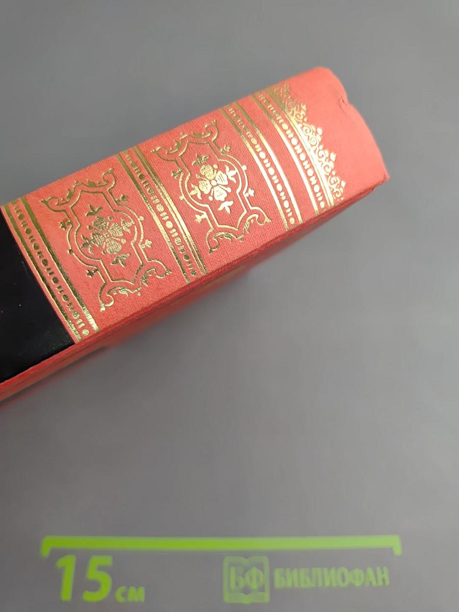 Пир на весь мир