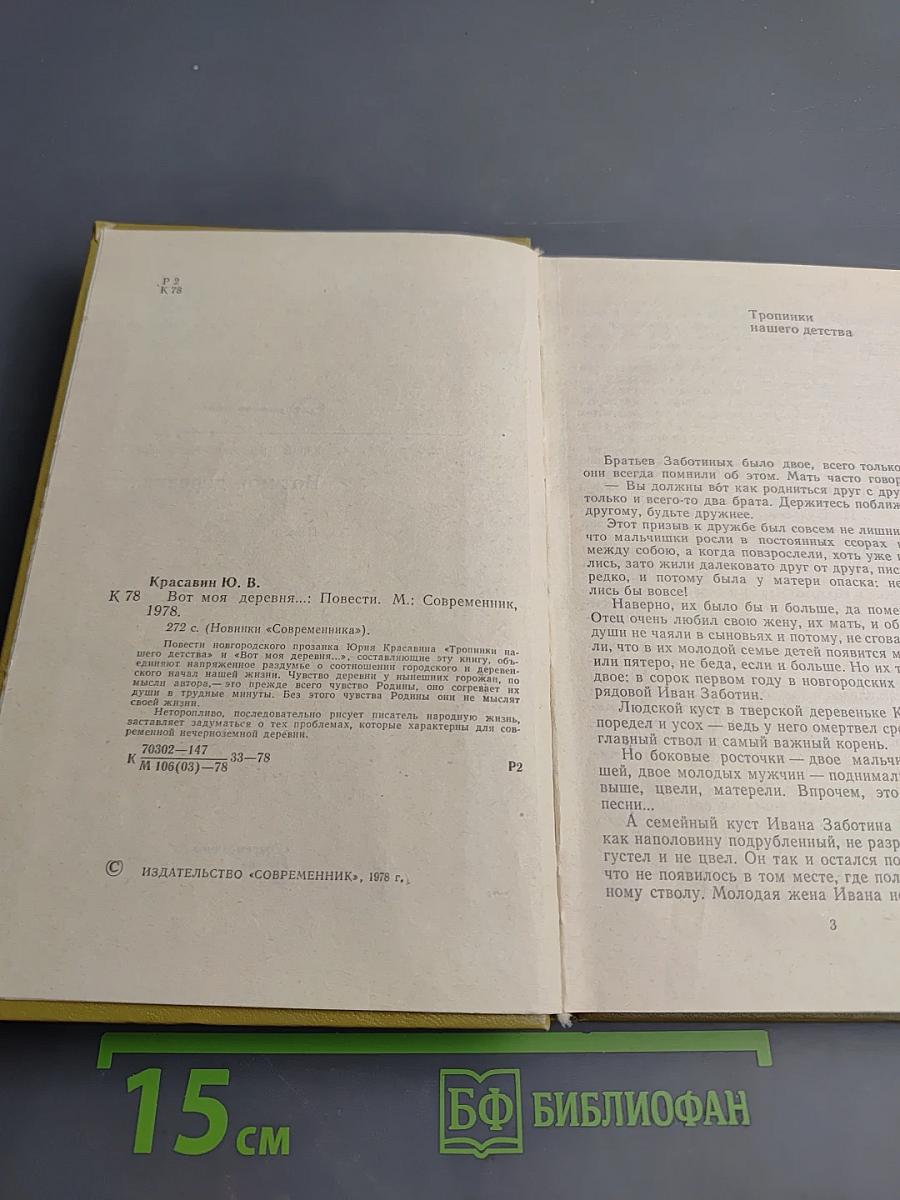 Вот моя деревня...