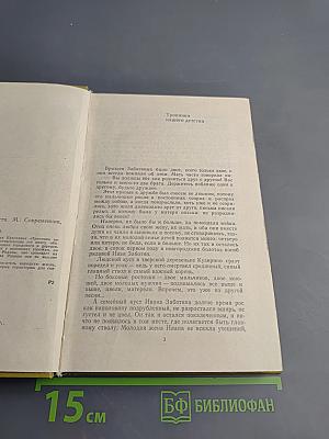 Вот моя деревня...