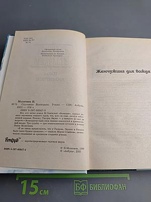 Спутники Волкодава