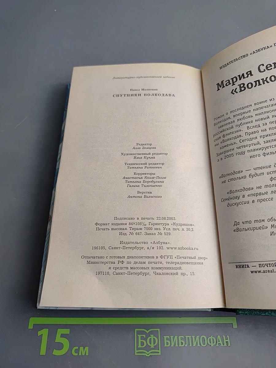 Спутники Волкодава