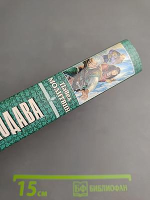 Спутники Волкодава