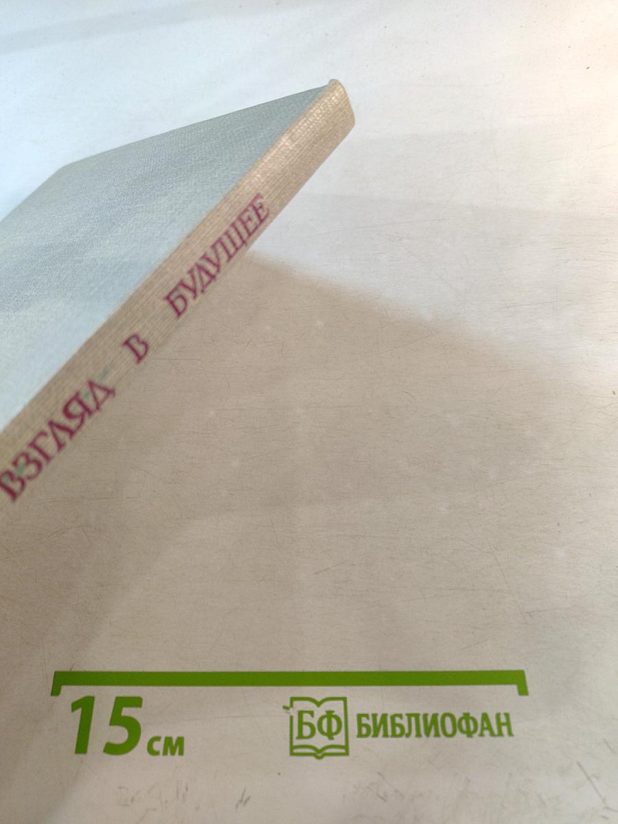 Взгляд в будущее. О художниках-лауреатах премии Ленинского комсомола. Книга для учащихся старших классов