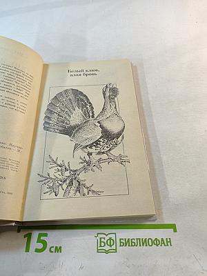 Они живут не только в заповеднике