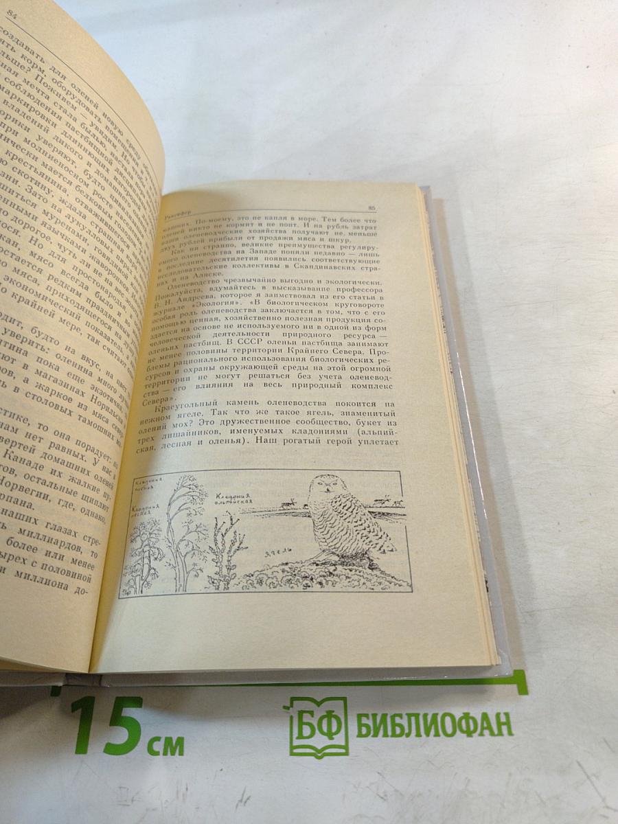 Они живут не только в заповеднике