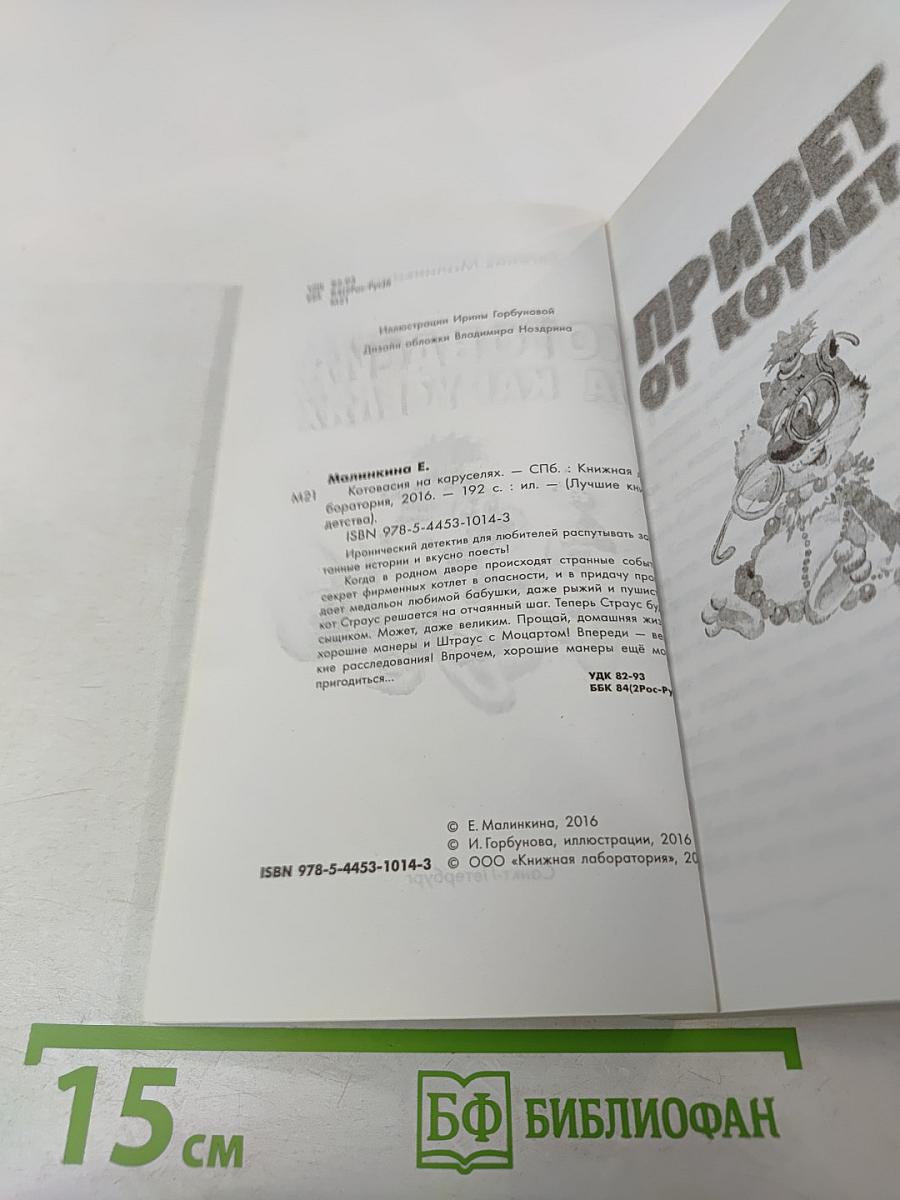 Котовасия на каруселях