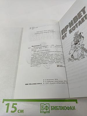 Котовасия на каруселях