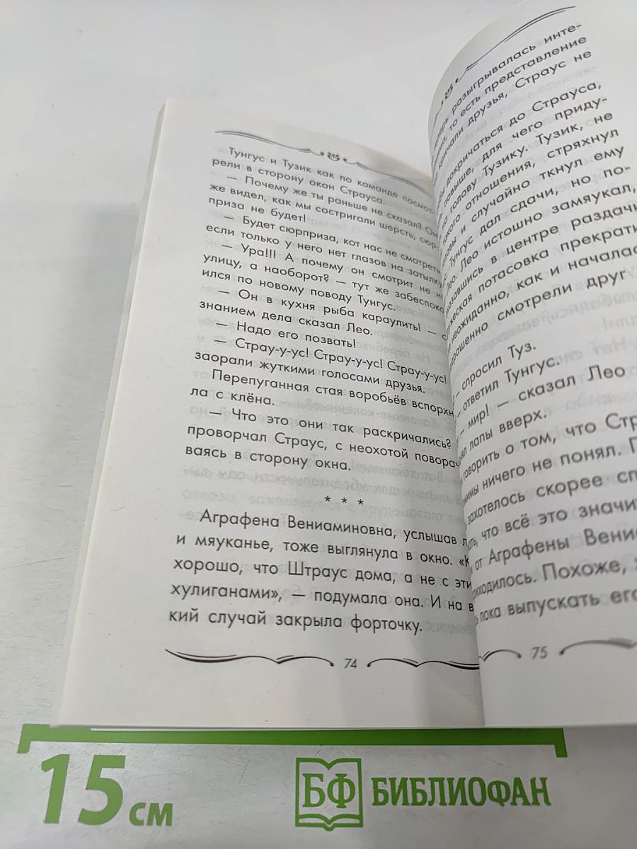 Котовасия на каруселях