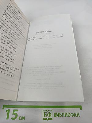 Котовасия на каруселях