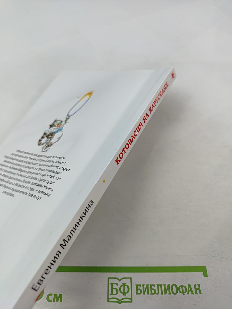 Котовасия на каруселях