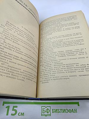 Улыбка Диониса. Страницы жизни Гёте. Том 6