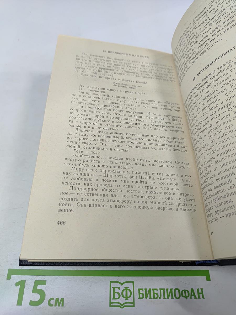 Улыбка Диониса. Страницы жизни Гёте. Том 6