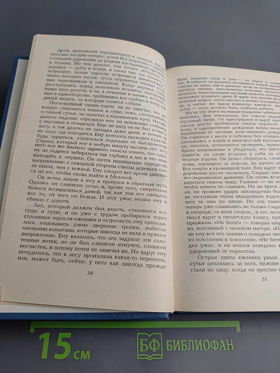 Алый знак воина