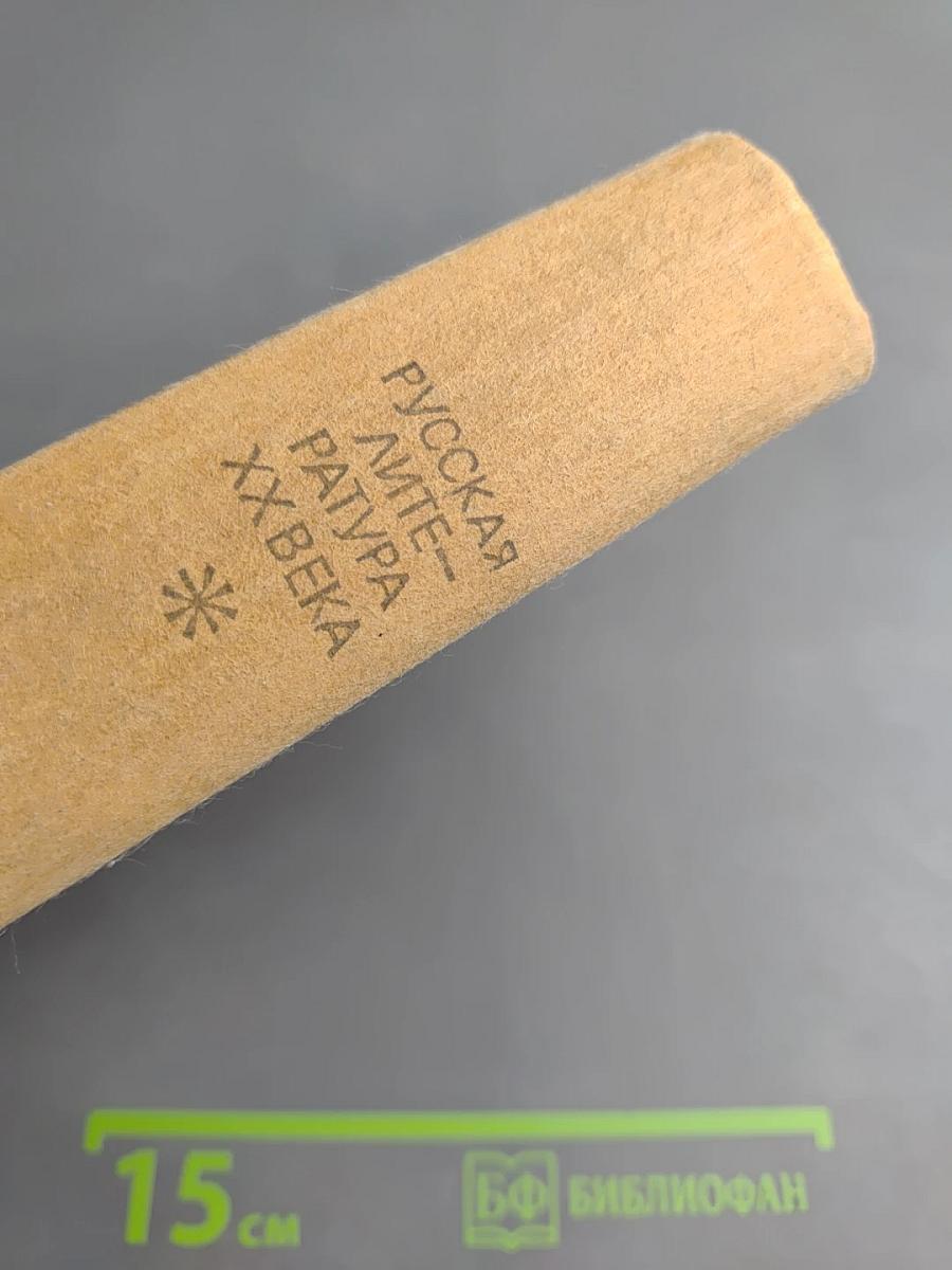 Русская литература XX века. Дооктябрьский период. Хрестоматия