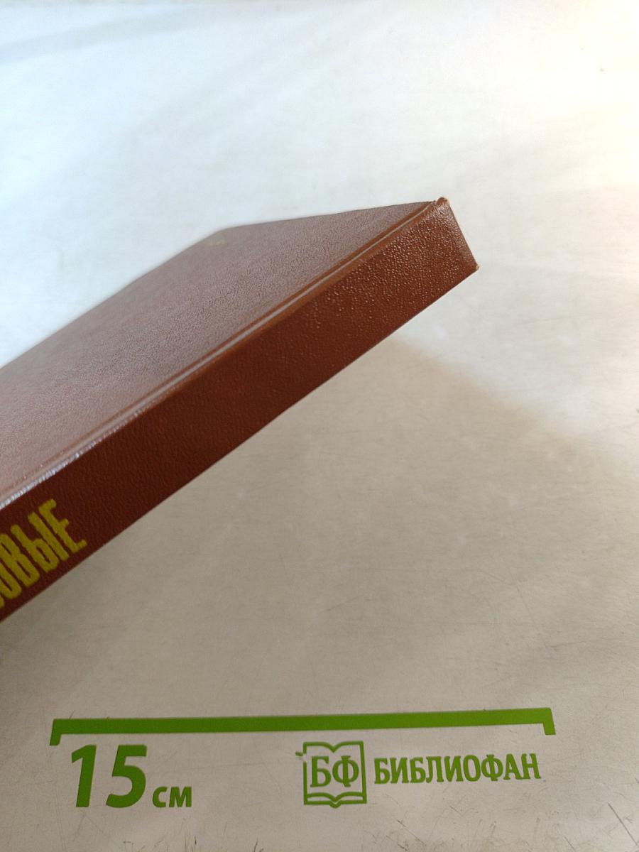 Бессменные часовые