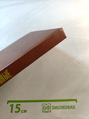 Бессменные часовые