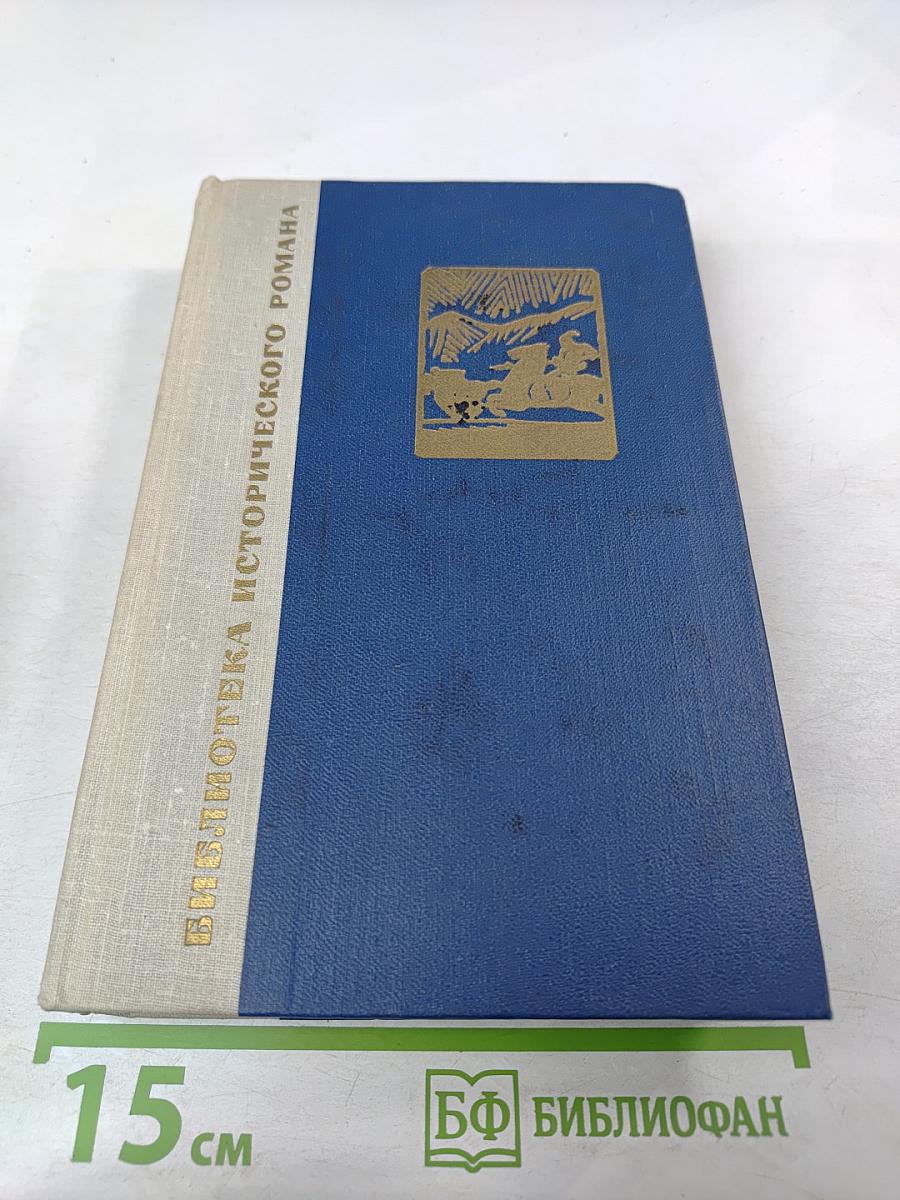 Сказание о Юэ Фэе. Том второй