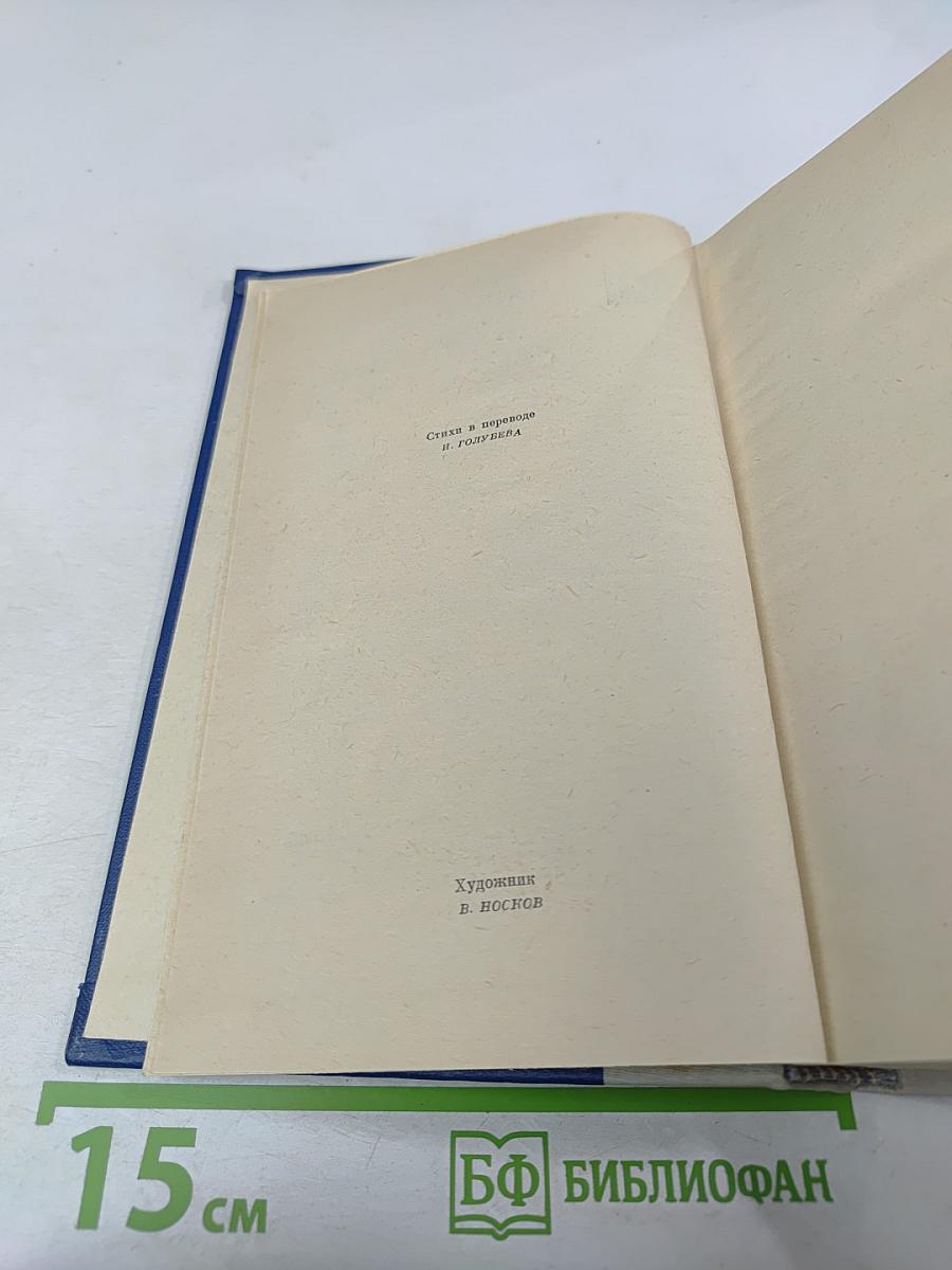 Сказание о Юэ Фэе. Том второй