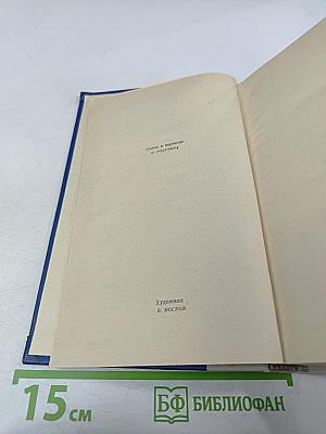 Сказание о Юэ Фэе. Том второй