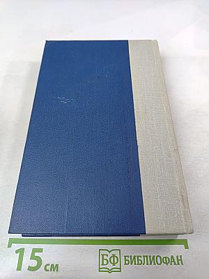 Сказание о Юэ Фэе. Том второй