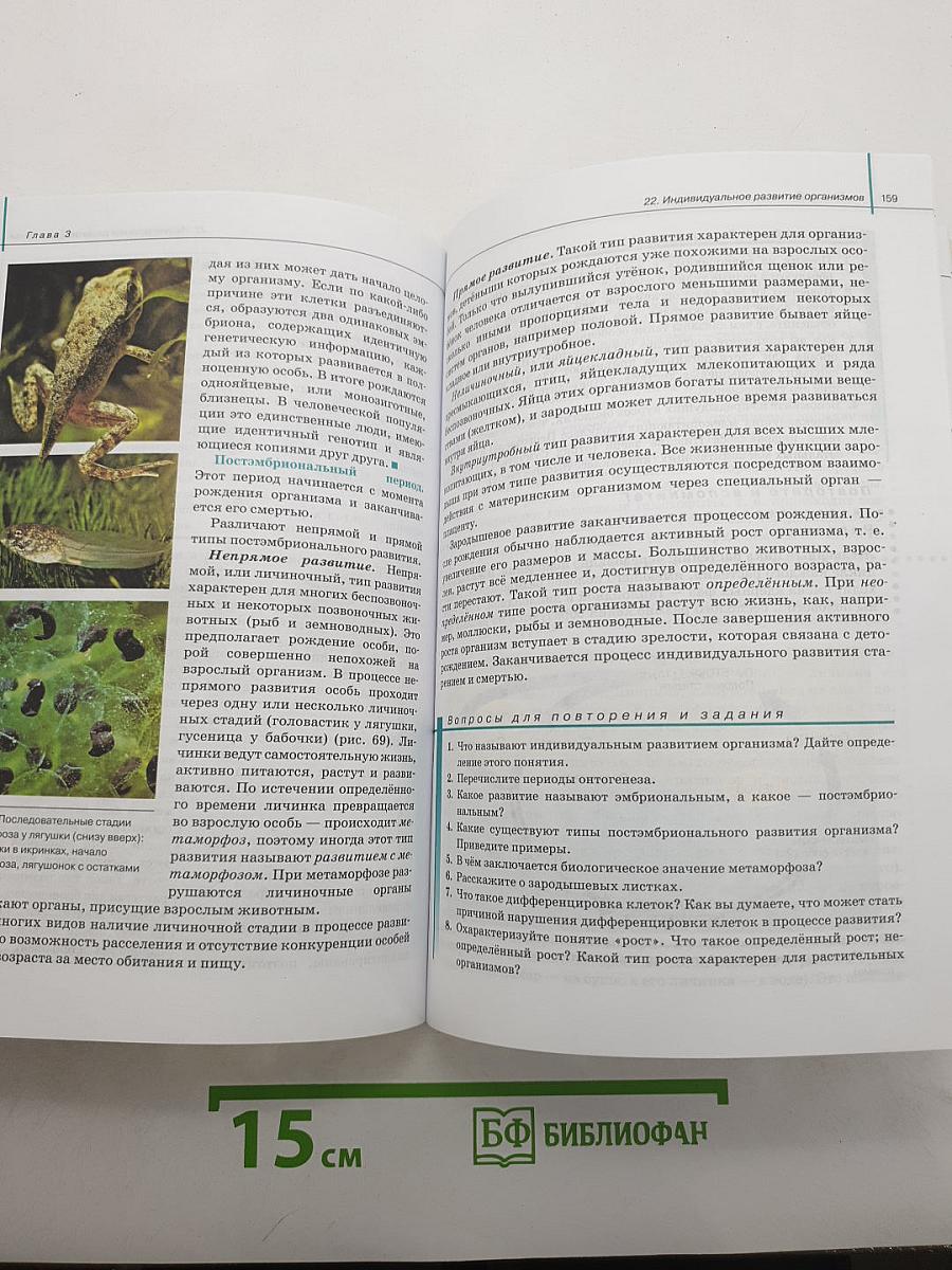 Биология. Общая биология. 10 класс. Базовый уровень
