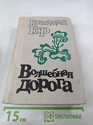 Волшебная дорога