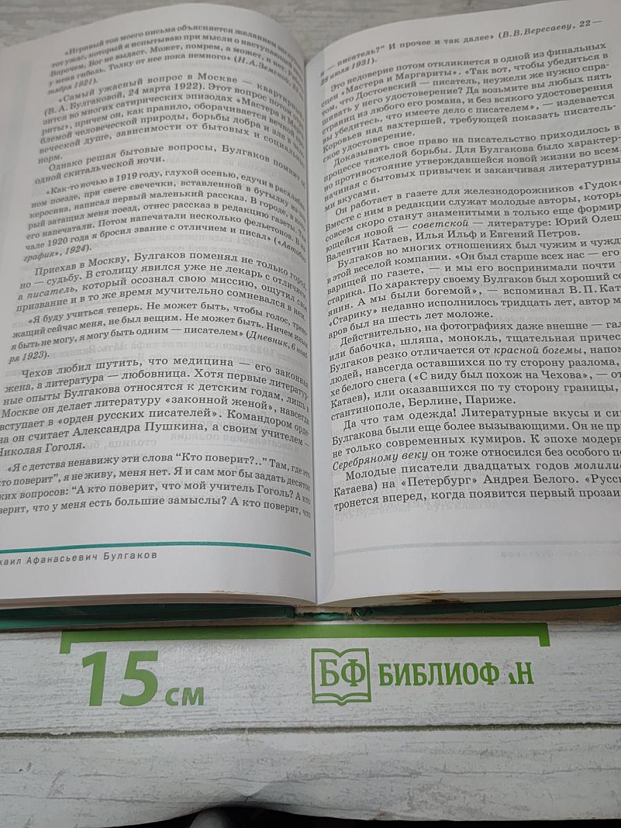 Русский язык и литература. Литература. Базовый уровень. 11 класс. Часть 2