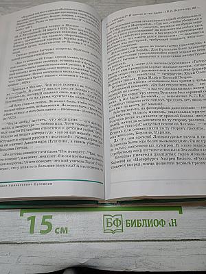 Русский язык и литература. Литература. Базовый уровень. 11 класс. Часть 2