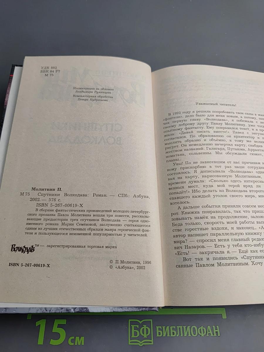 Спутники Волкодава