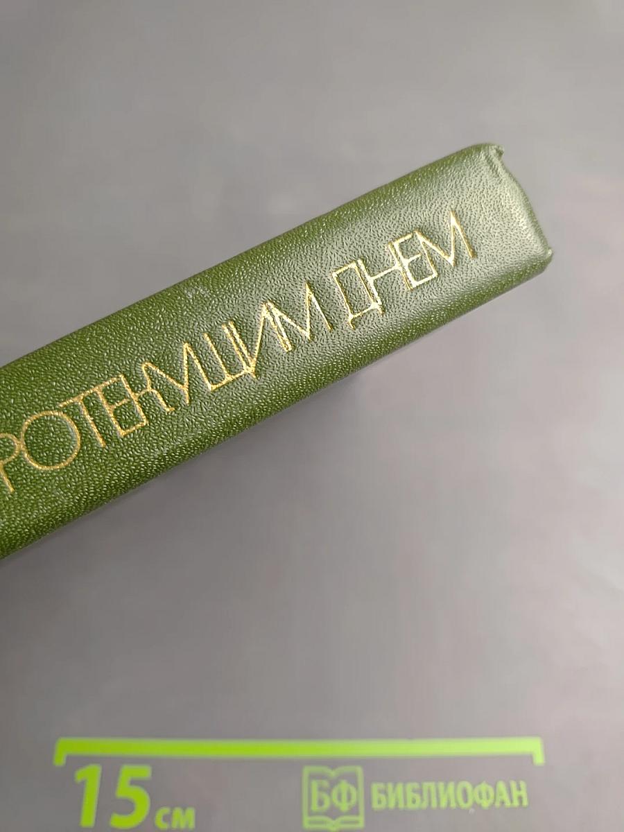 За быстро текущим днем: Статьи