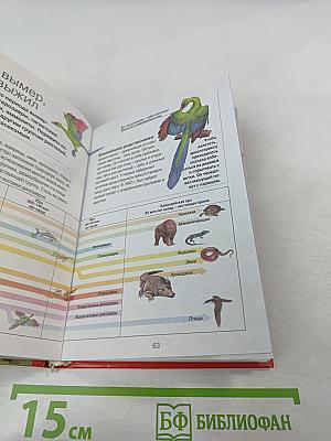 Динозавры. Ужасные и прекрасные