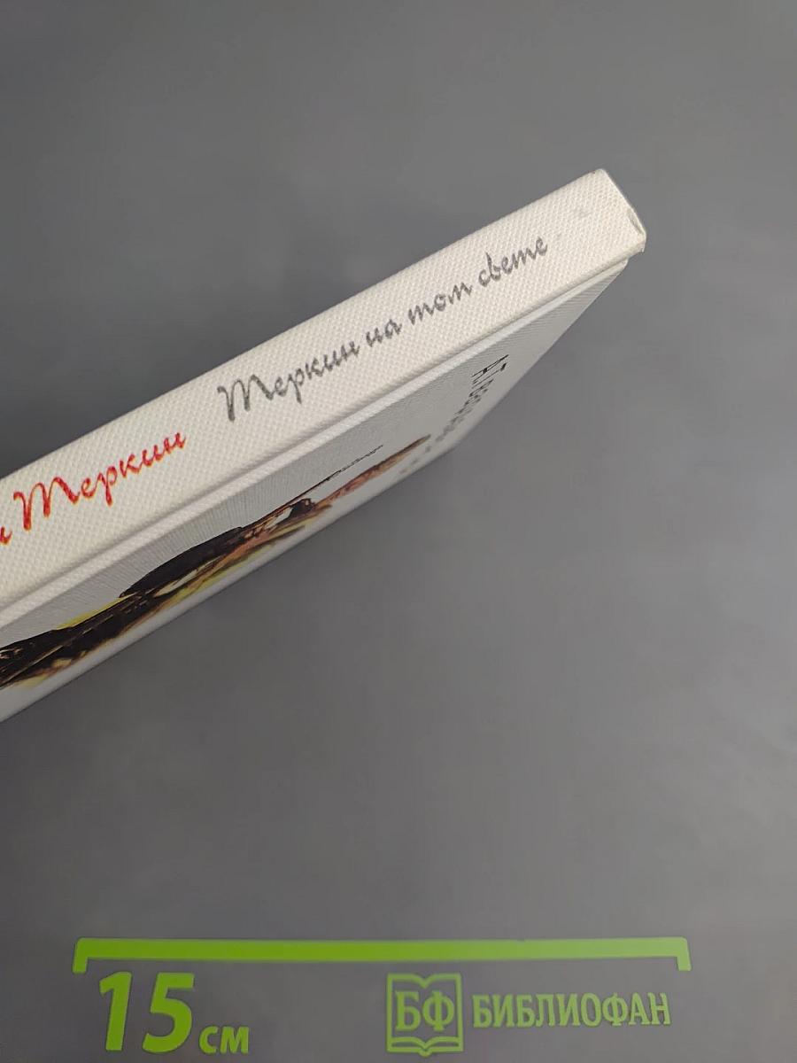 Василий Теркин. Книга про бойца. Теркин на том свете