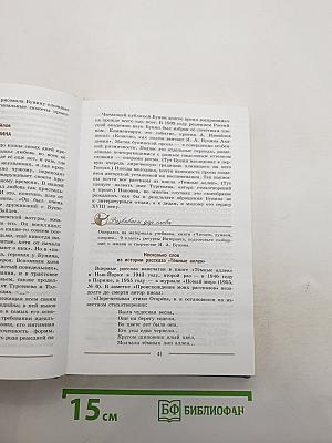 Литература. 9 класс. Учебник. Часть 2
