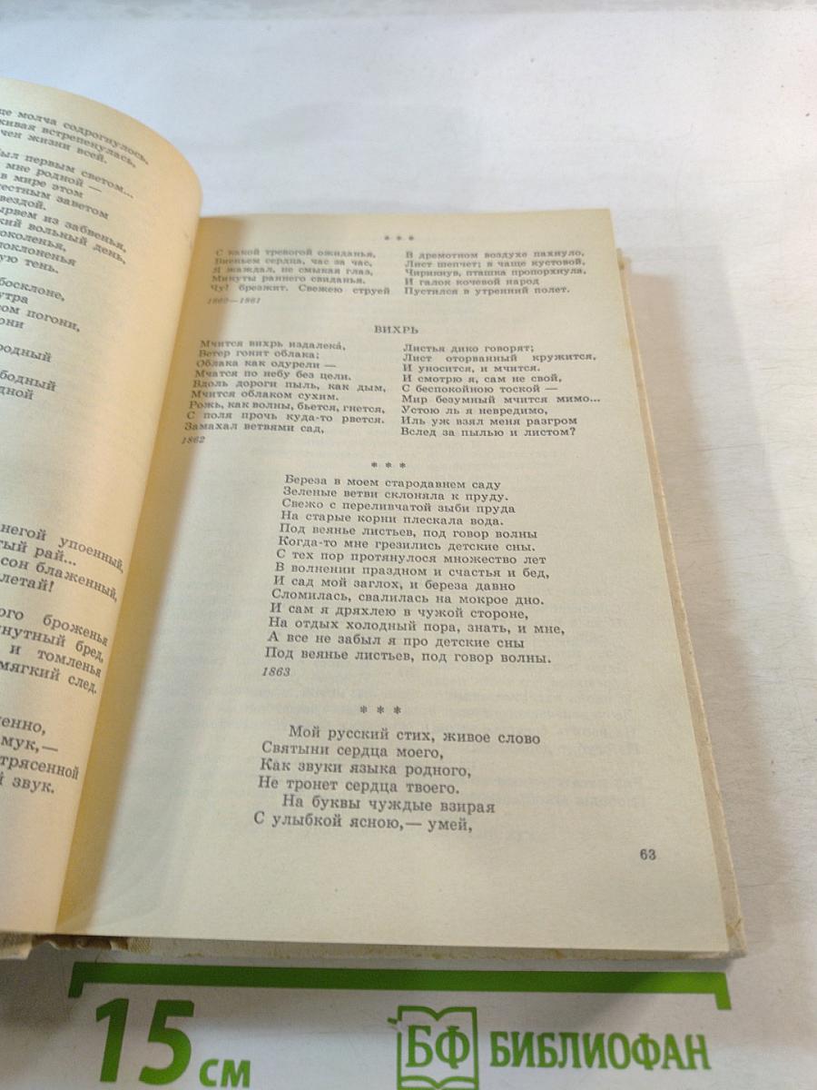 Русские поэты XIX века. Вторая половина