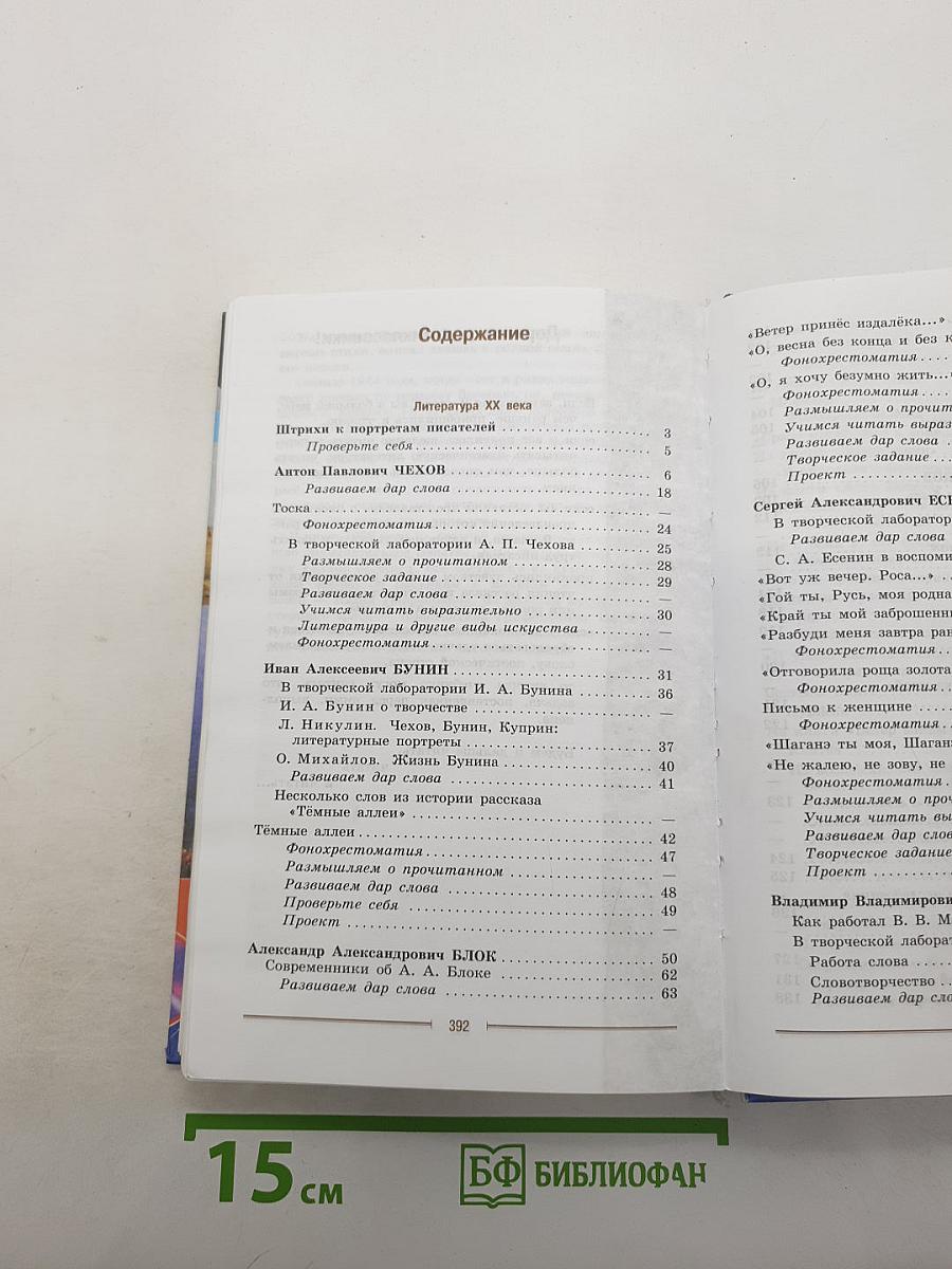 Литература. 9 класс. Учебник. Часть 2