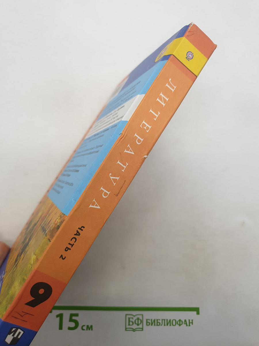 Литература. 9 класс. Учебник. Часть 2