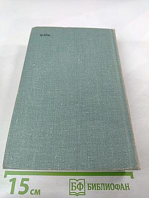 Степан Разин