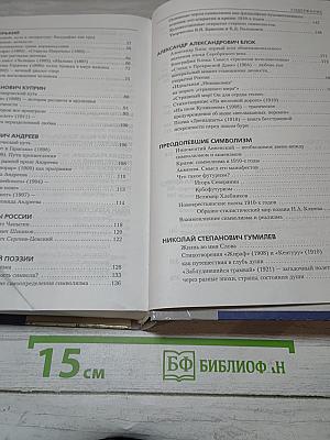Литература. 11 класс. Вчера и сегодня. Часть I