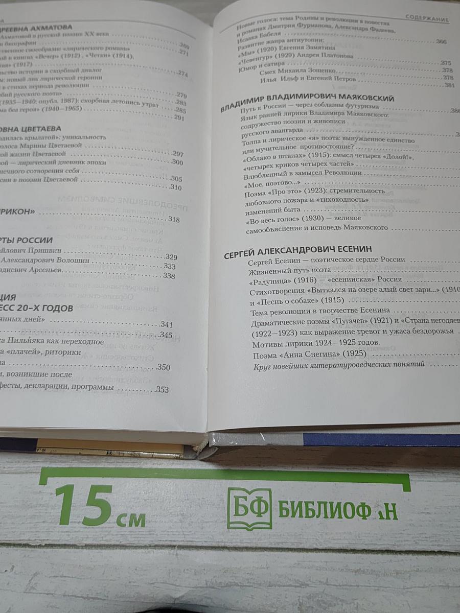 Литература. 11 класс. Вчера и сегодня. Часть I