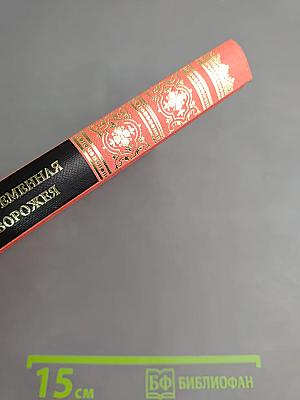 Современная ворожея или Чудесное зеркало волшебно-таинственных открытий