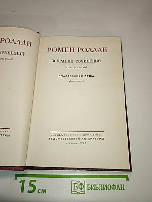 Очарованная душа. Книга третья: Мать и сын